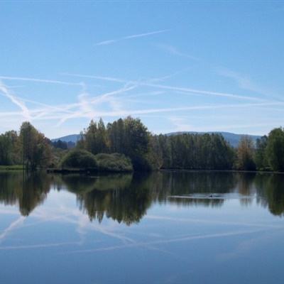 关于“开云电竞APP”下载手机版截图